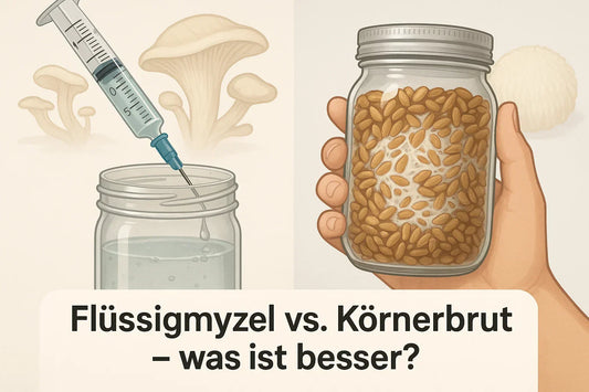 Flüssigmyzel vs. Körnerbrut – was ist besser?
