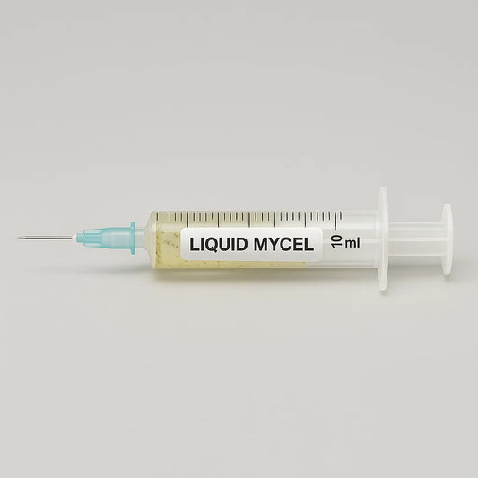 Kräuterseitling Flüssigmyzel Spritze 10 ml