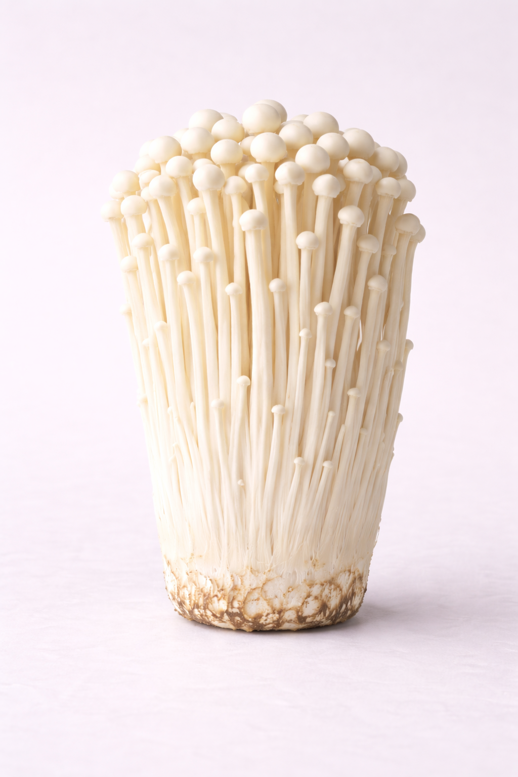 Enoki Flüssigmyzel Spritze 10 ml